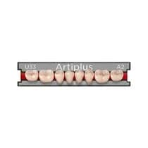 Dente ArtiPlus Posterior Inferior