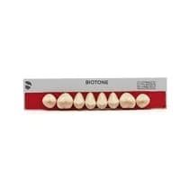 Dente Biotone Posterior/Superior - Dentsply Sirona