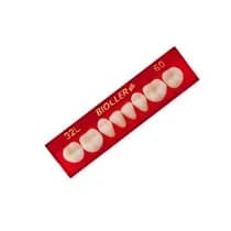 Dente Biocler GII Posterior Superior