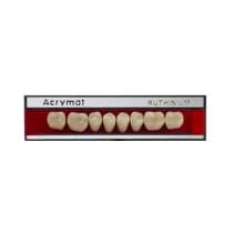 Dente Acrymat Posterior Inferior