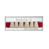 Dente Nobile-2 Anterior Inferior