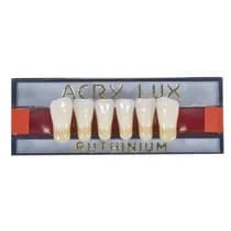 Dente Acrylux Anterior Inferior