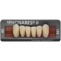 Dente SR Phonares II Anterior Superior