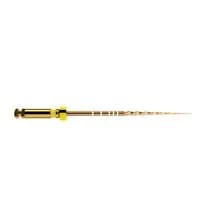 Lima Rotatória Protaper Gold STER 21mm