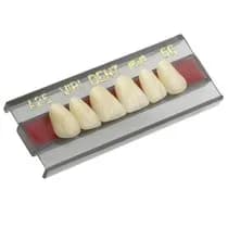 Dente Vipi Dent Plus Anterior Superior