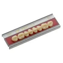 Dente VIPI Dent Plus Posterior Inferior