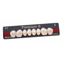 Dente Premium Posterior Inferior