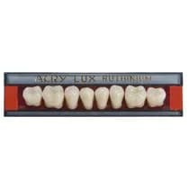 Dente Acrylux Posterior Inferior