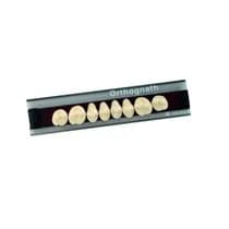 Dente Orthognath Posterior Superior