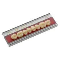 Dente VIPI Dent Plus Posterior Superior