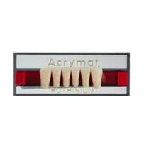 Dente Acrymat Anterior Superior - DFL