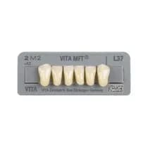 Dente Vita MFT Anterior Inferior - Wilcos