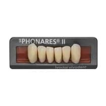 Dente SR Phonares II Anterior Superior - Ivoclar