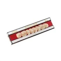 Dente Newlux Posterior Superior - Triunfo
