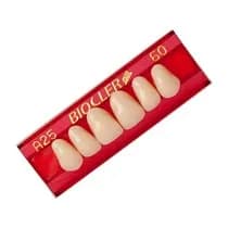 Dente Biocler GII Anterior Inferior