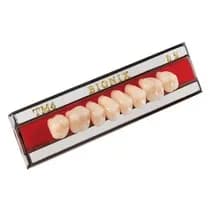 Dente Bionix Posterior Superior