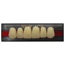 Dente New Ace Anterior Superior Yamahachi - Kota