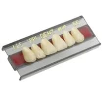 Dente Vipi Dent Anterior/Inferior - VIPI