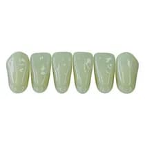 Dente New Ace Anterior Inferior B1