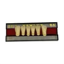 Dente Newlux Anterior Inferior - Triunfo