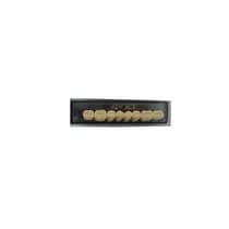 Dente New Ace Posterior Inferior B1 - kota