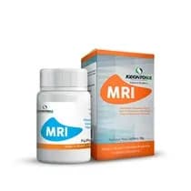 Cimento Restaurador Mri Intermediário Pó 30G