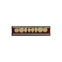Dente Newlux Posterior Inferior - Triunfo