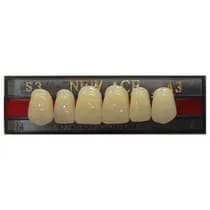 Dente New Ace Anterior/Superior - Kota
