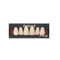 Dente Delara D Anterior Superior - Kulzer