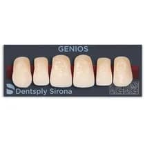 Dente Genios Anterior Superior