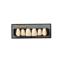 Dente Ivostar Anterior Superior - Ivoclar
