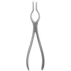 Pinça Walsham Para Septo Direita 23cm