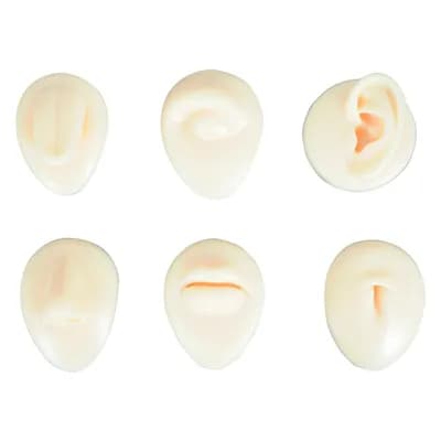 Simulador para Pratica de Inserção de Piercing na Pele Cj 06 Un