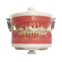 Manequim Top Materiais PD101 - Pronew