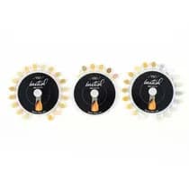 Escala de Cor Shade Guide Basic PLS Set MC/LF/TI