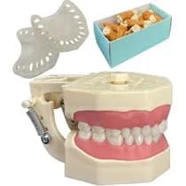 Kit Manequim Multidisciplinar Periodontia E Dentística