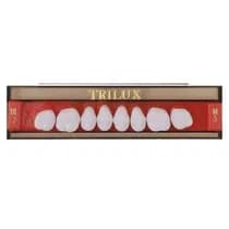Dente Trilux N Anterior Inferior