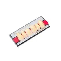 Dente SR Vivodent PE Anterior Superior SA15 1E
