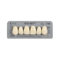 Dente MFT Anterior Superior - Vita