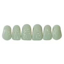 Dente New Ace Anterior Superior B1 - Kota