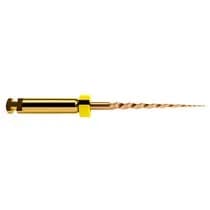 Lima Rotatória Protaper Gold STER 19mm SX