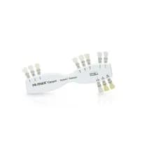 Escala de Cores IPS e-Max Ceram Incisal Transparente