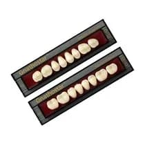 Dente Gnathostar A-D Posterior/Inferior ID86 - Ivoclar