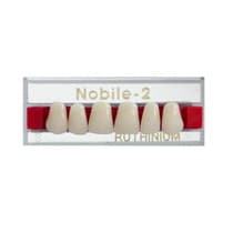 Dente Nobile-2 Anterior Inferior - Ruthinium