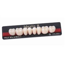 Dente Idealis Posterior Inferior - Kulzer