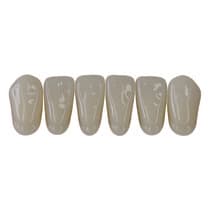 Dente New Ace Anterior Inferior B1 - Kota