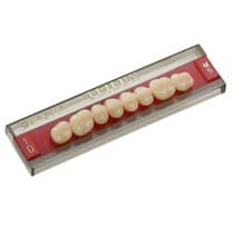 Dente Trilux Posterior Inferior - VIPI