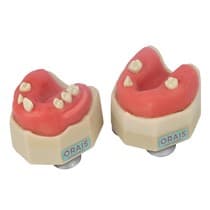 Manequim Cirurgia Completo - Orais