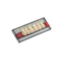 Dente Biolux OMC Anterior Inferior - VIPI