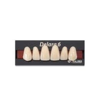 Dente Delara B Anterior Superior - Kulzer